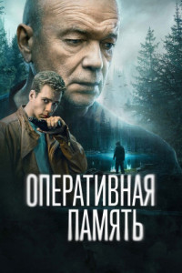 Оперативная память (сериал)